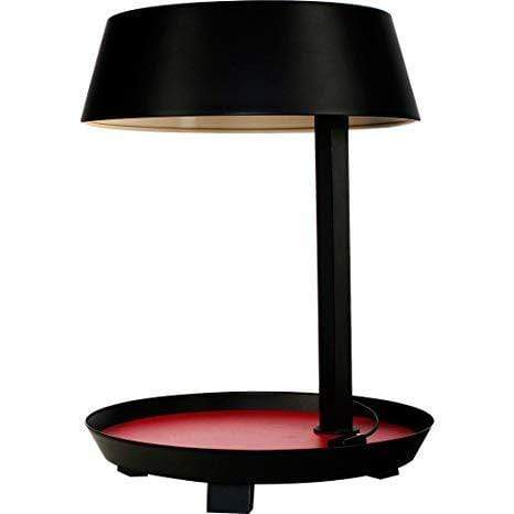 SEED DESIGN CARRY Table Lamp - DELIGHT OptoElectronics Pte. Ltd